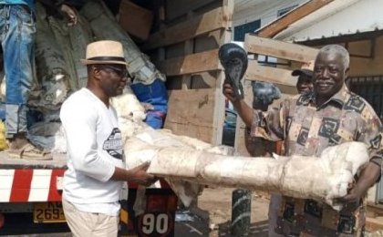 Un coup de poing dans l'avenir de la boxe gabonaise : Réception de nouveaux rings à la Fegaboxe