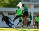 Mondial 2026 : Les Panthères du Gabon au complet pour affronter la Gambie à Nairobi