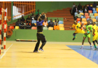 Coupe d'Afrique des Champions des Clubs de Handball : le Stade Mandji perd au match de classement